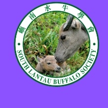 South Lantau Buffalo Society